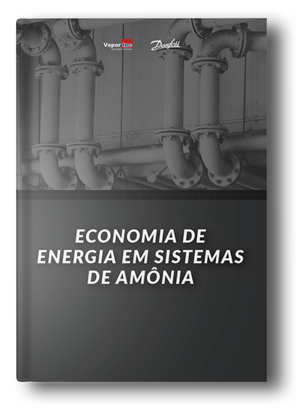 Economia de energia em sistemas de amônia